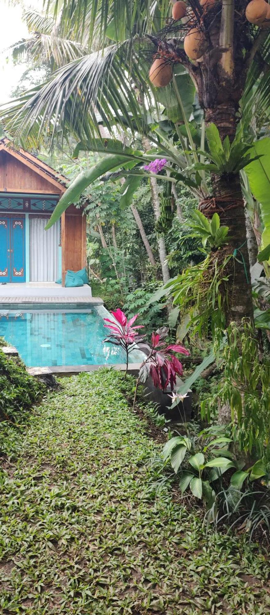 Rumah Guci 우붓 외부 사진
