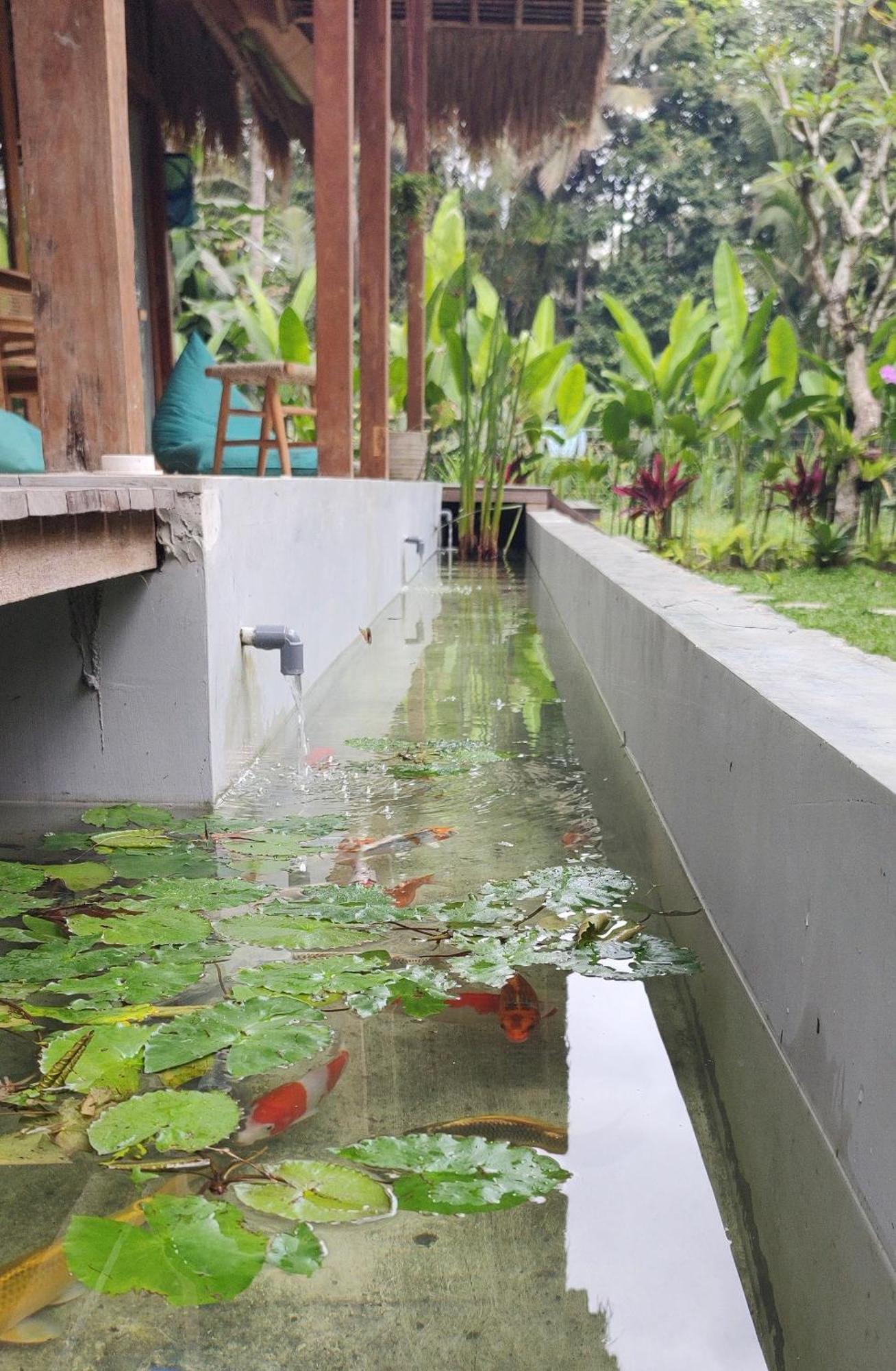 Rumah Guci 우붓 외부 사진